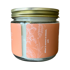 Orchard Bloom